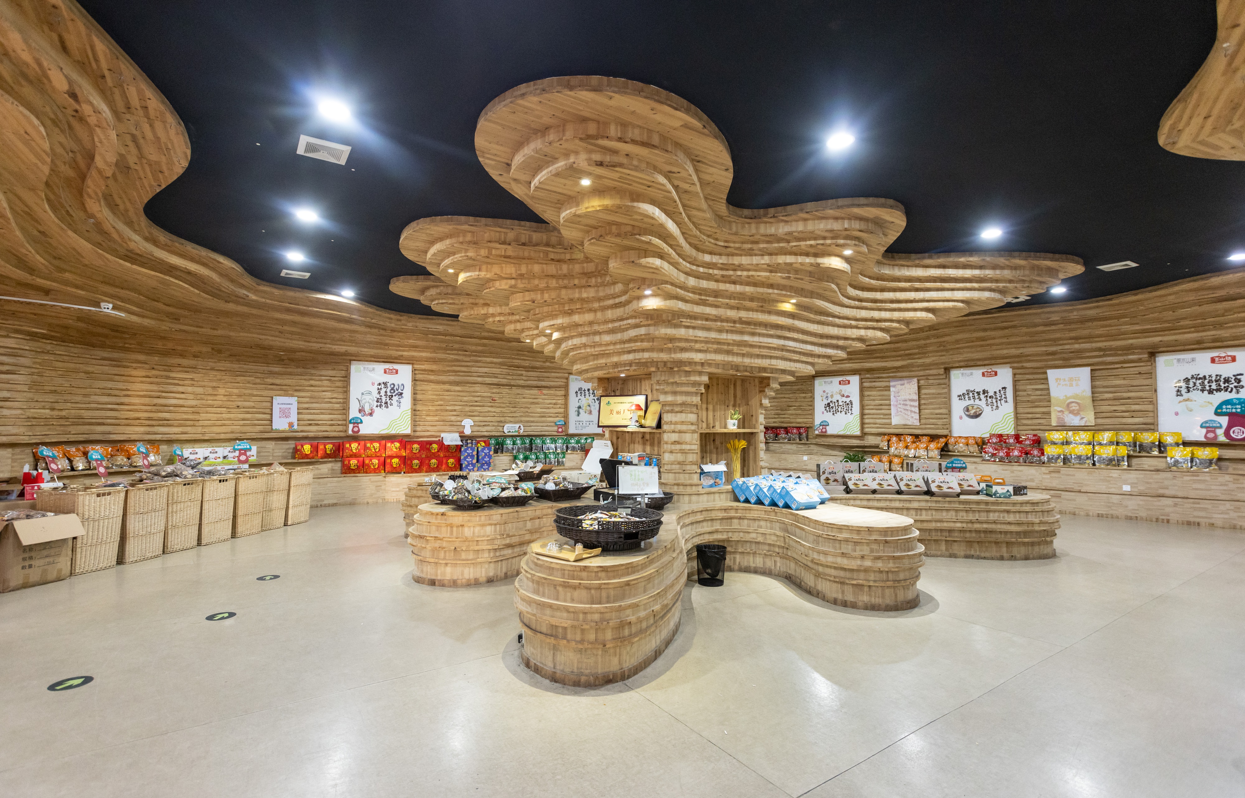 Edible fungi industry.JPG